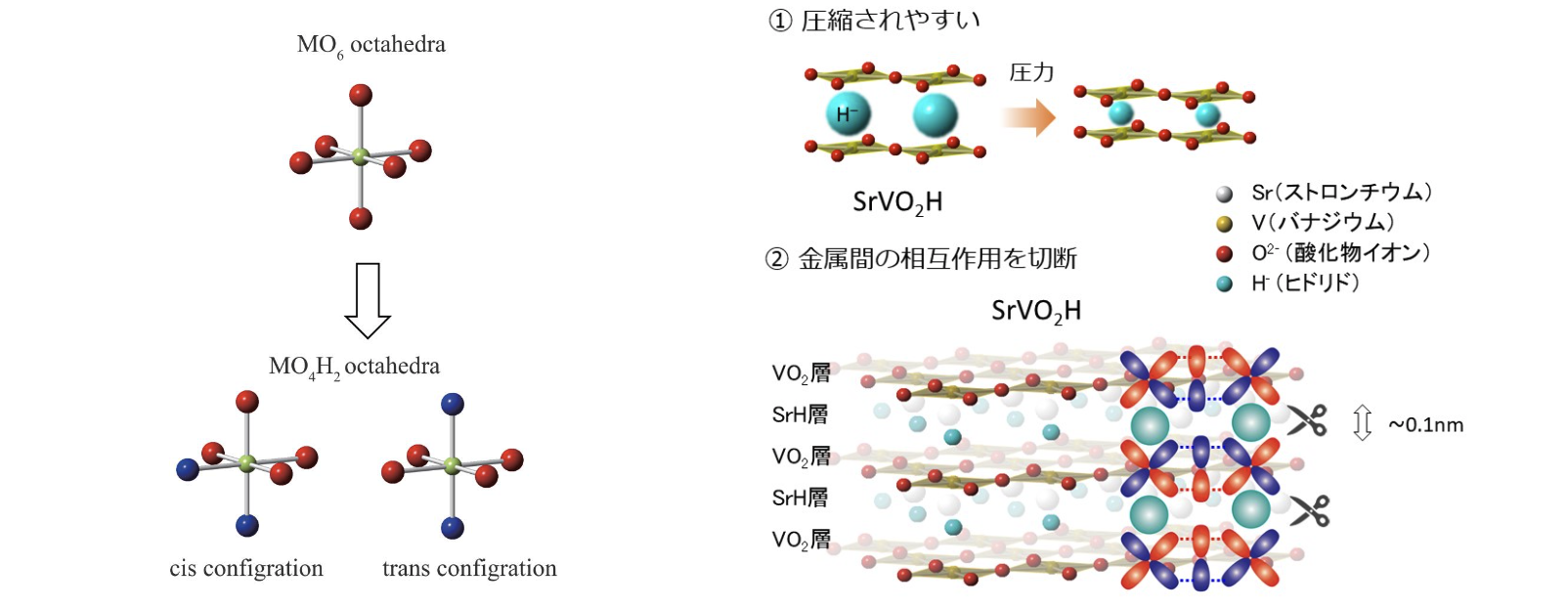 説明文をここに入れる