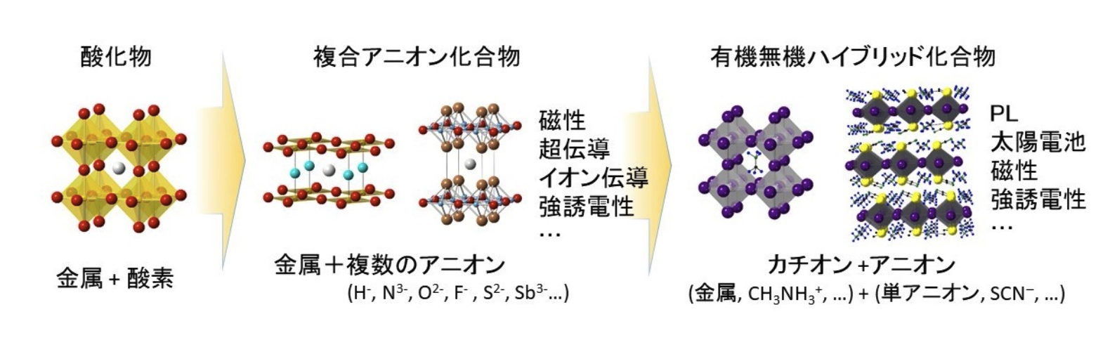 説明文をここに入れる