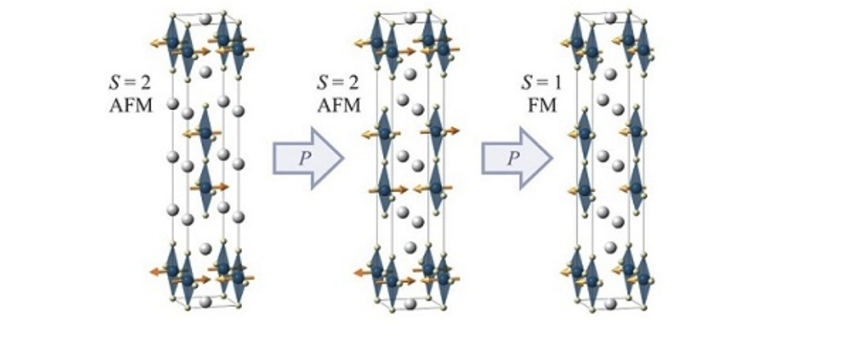 説明文をここに入れる